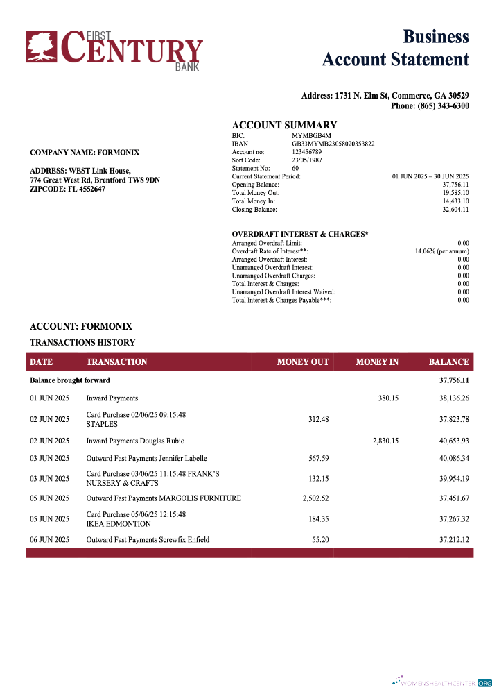 Download USA First Century enterprise account statement Word and PDF template Photoshop template
